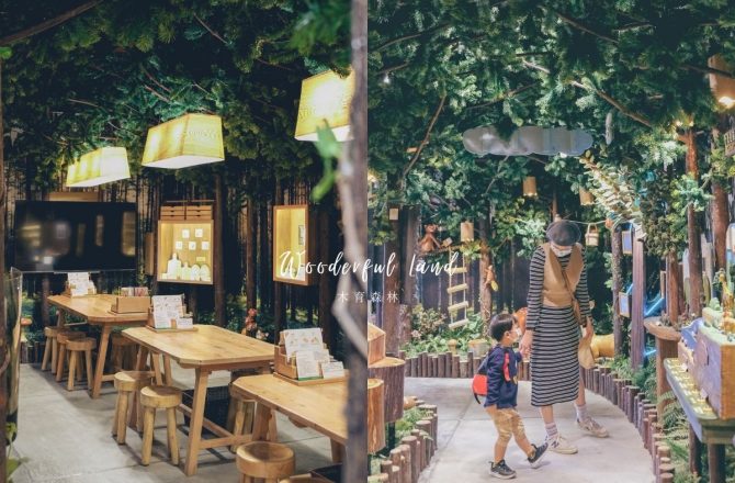 宜蘭免費親子景點，森林系空間內大玩木製玩具｜木育森林羅東店