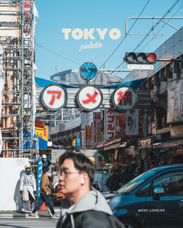 The colors I collected from Tokyo✨📸
我收集的東京調色盤

#東京 #snapshot #streetshot #食攝東京