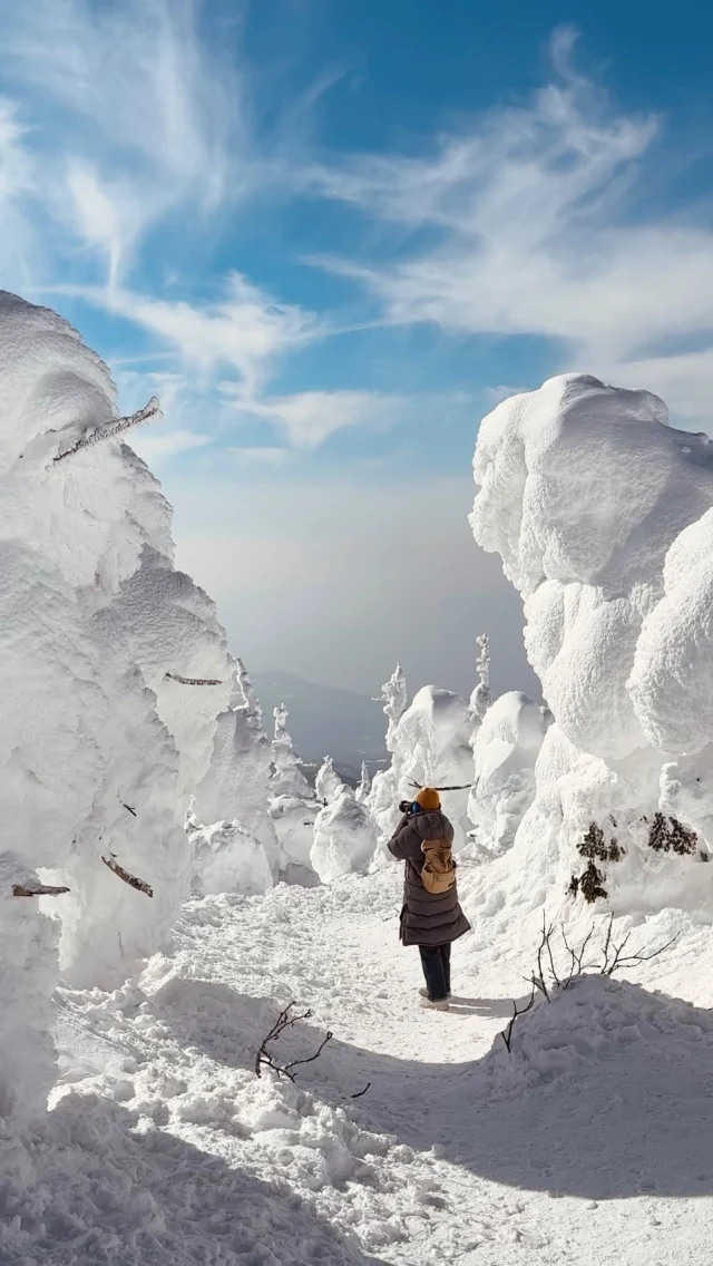 藏王樹冰有神奇的力量🌲🌲
⁡
⁡
⁡
#藏王 #藏王樹冰 #icemonster #食攝東北