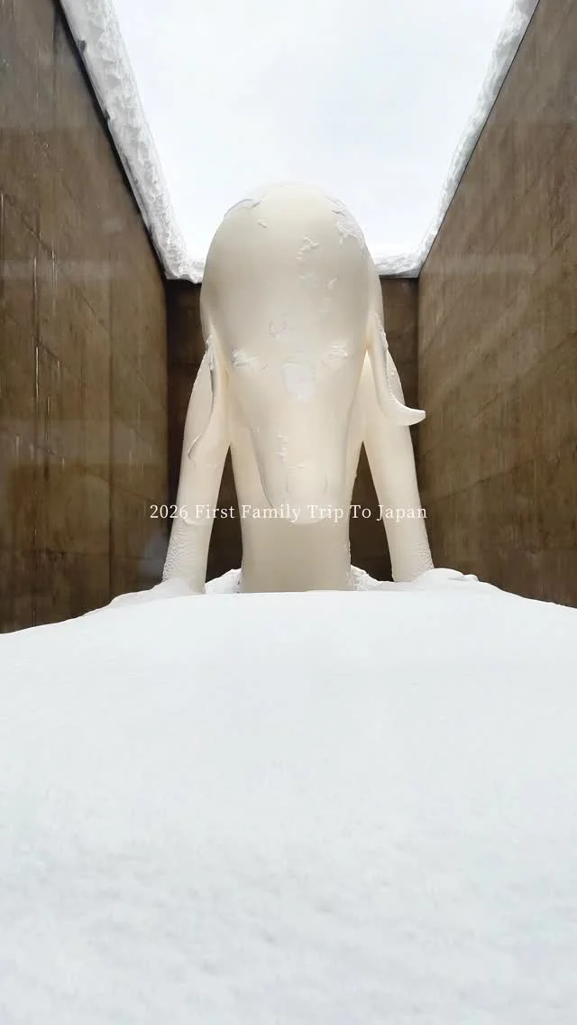 日本東北之旅紀錄
✨
仙台—山形—宮城—青森
​
我們親自走訪、吃、玩
𖥣 仙台科學館
𖥣 藏王樹冰
𖥣 白石城
𖥣 白石溫麵
𖥣 青森港
𖥣 睡魔之家
𖥣 青森美術館
𖥣 弘前城
𖥣 善知鳥神社
𖥣 弘前車站蘋果造景
​
​
#食攝東北 #青森景點